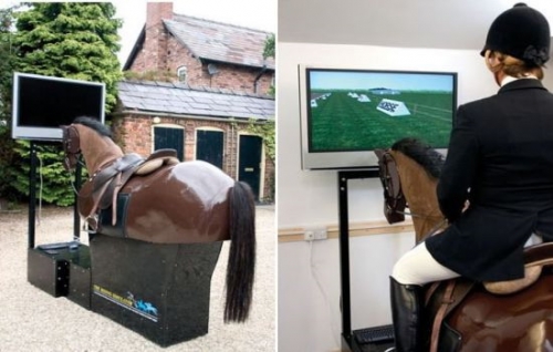 Horse riding simulator